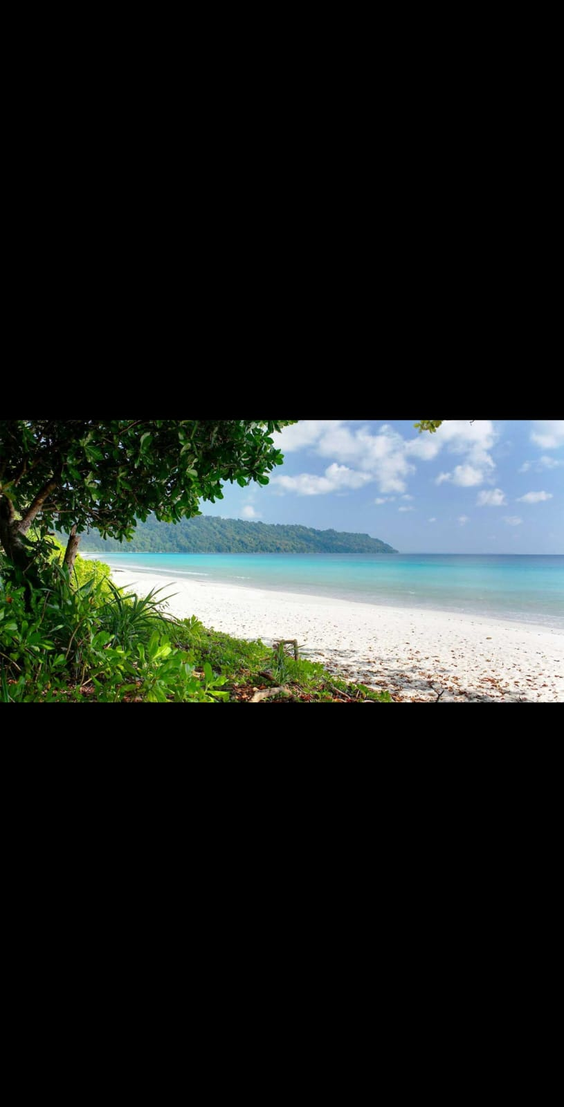 Andaman Beach